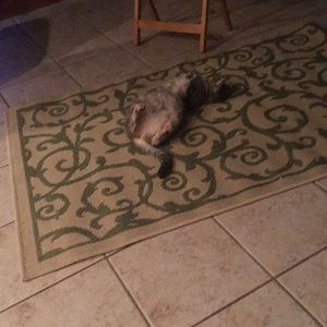 Meet your Posher, Paula